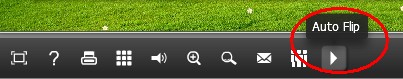 How to auto flips my flipbook with Flipbook Converter Program?