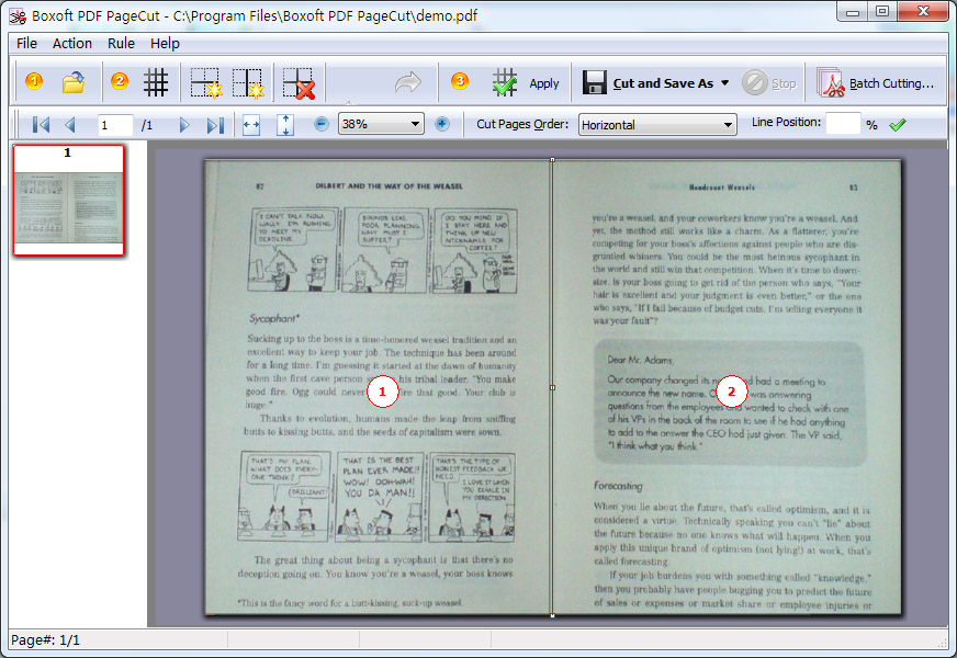 Boxoft PDF PageCut 3.8 full