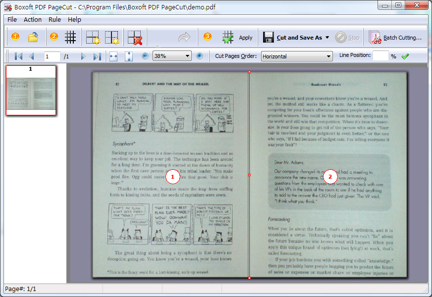 Boxoft PDF PageCut screenshot